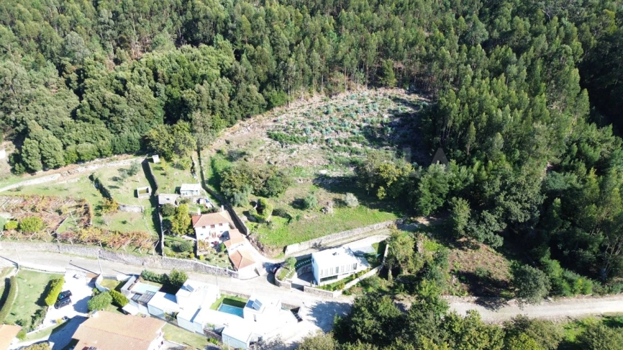 Terreno para Venda em Moledo e Cristelo Foto 4