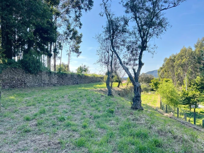 Terreno para Venda em Moledo e Cristelo