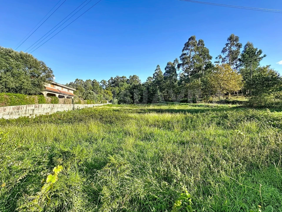 Terreno para Venda em Ganfei Foto 8