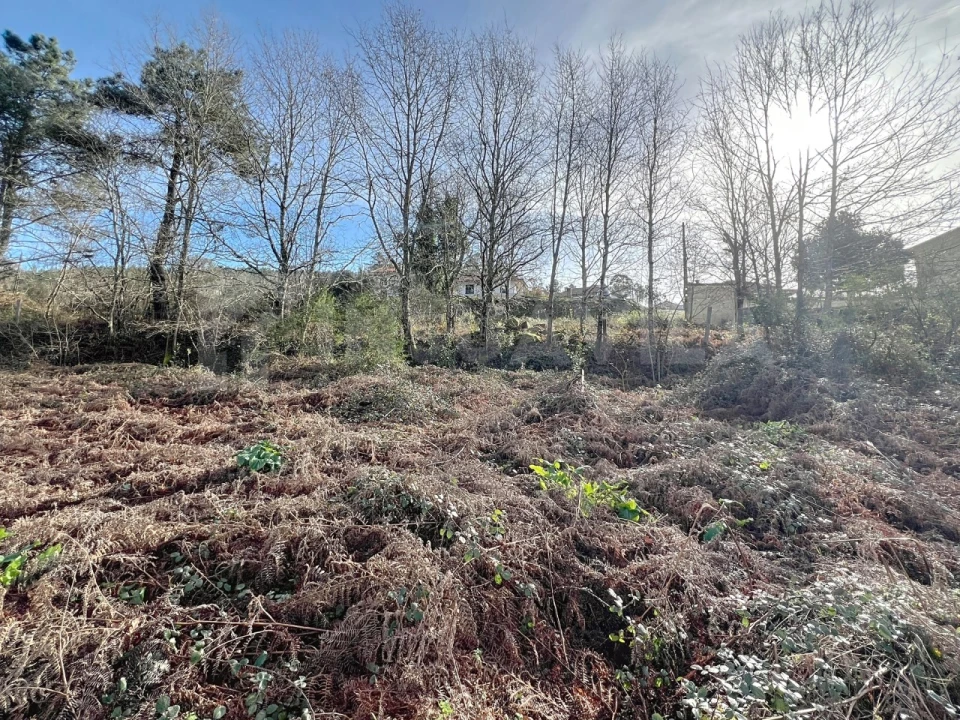 Terreno para Venda em Covas Foto 6