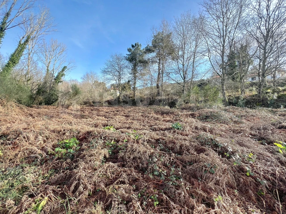 Terreno para Venda em Covas Foto 8