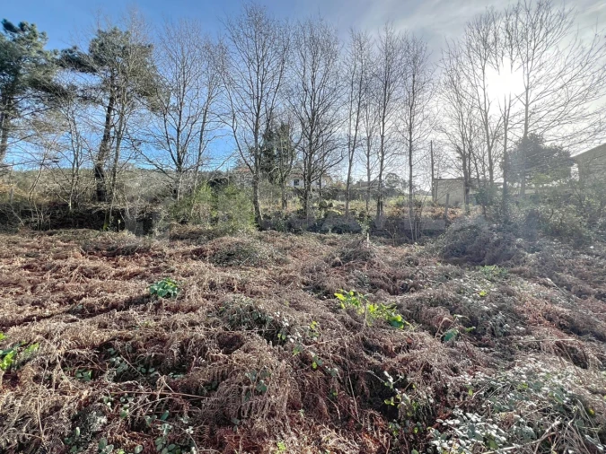 Terreno para Venda em Covas Foto 6