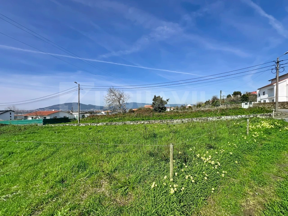 Terreno para Venda em Seixas Foto 11