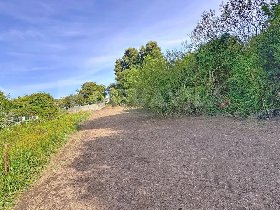 Terreno para Venda em Seixas Foto 3