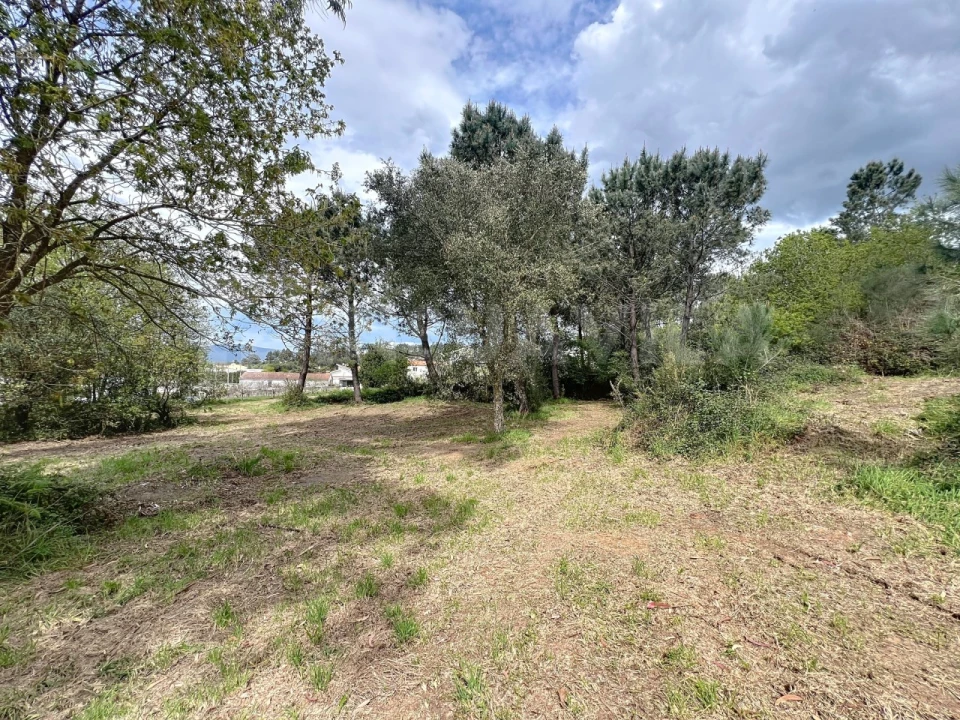 Terreno para Venda em Seixas Foto 5