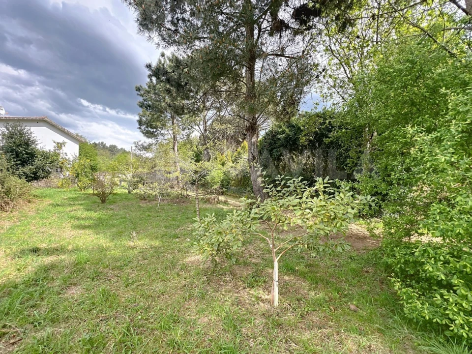 Terreno para Venda em Seixas Foto 8