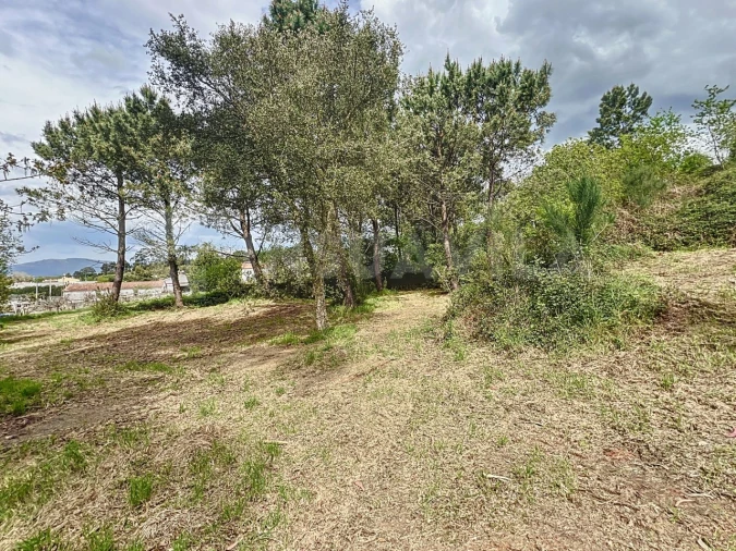 Terreno para Venda em Seixas Foto 6