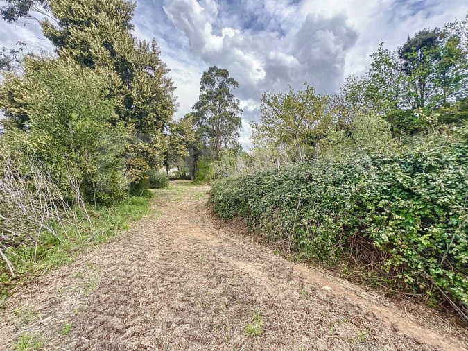 Terreno para Venda em Seixas Foto 12