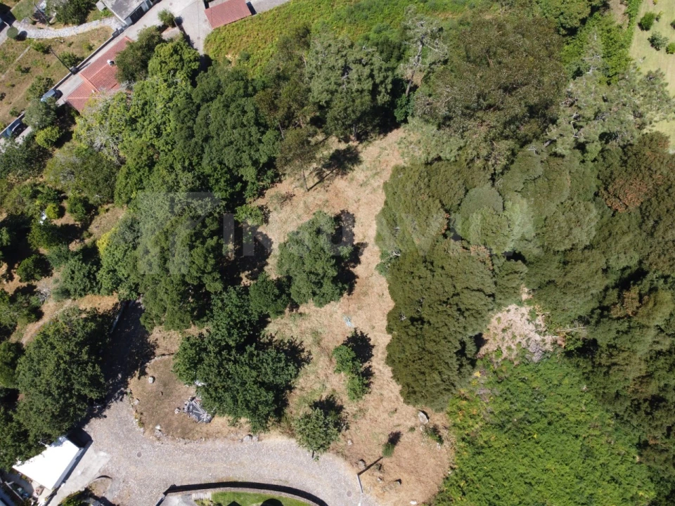 Terreno para Venda em Moledo e Cristelo Foto 5