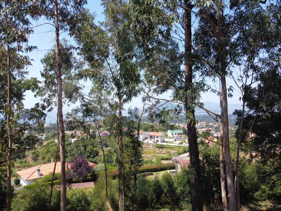 Terreno para Venda em Moledo e Cristelo Foto 14