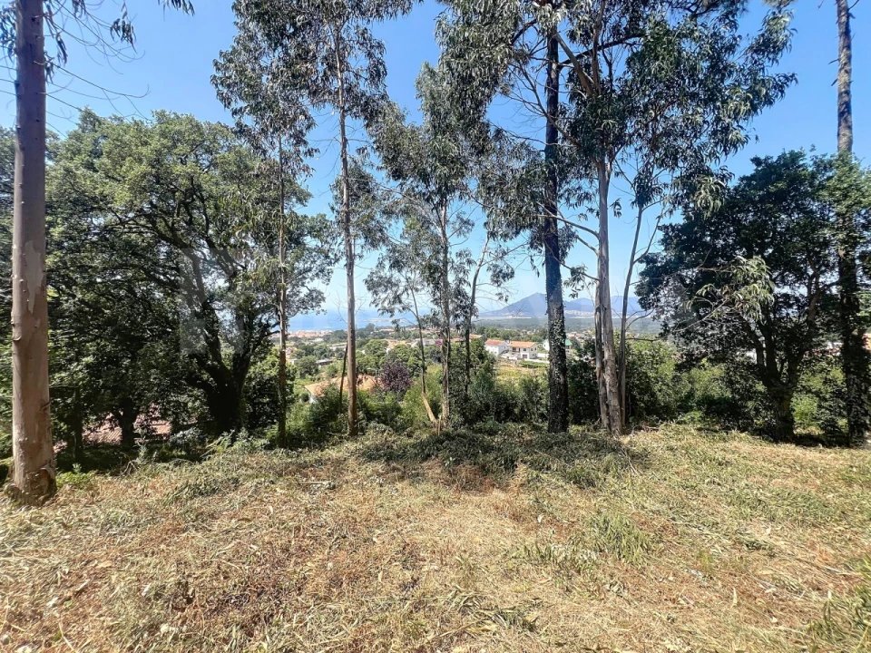Terreno para Venda em Moledo e Cristelo Foto 8