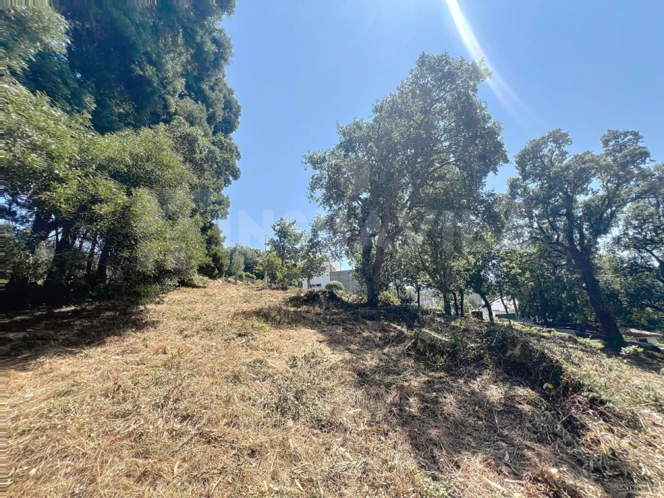 Terreno para Venda em Moledo e Cristelo Foto 7