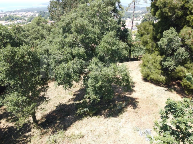 Terreno para Venda em Moledo e Cristelo Foto 13