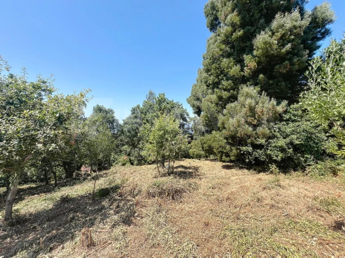 Terreno para Venda em Moledo e Cristelo Foto 9