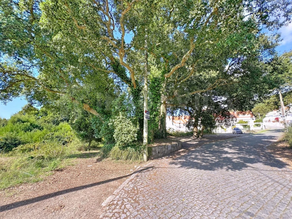 Terreno para Venda em Moledo e Cristelo Foto 5