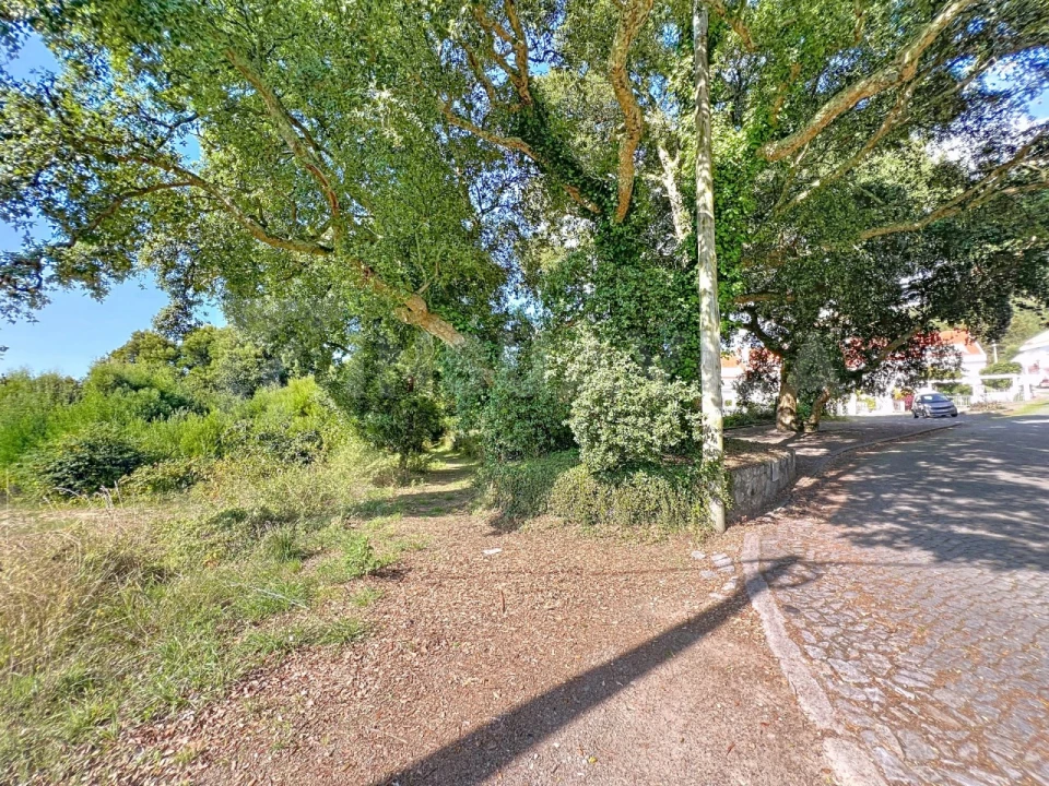 Terreno para Venda em Moledo e Cristelo Foto 6