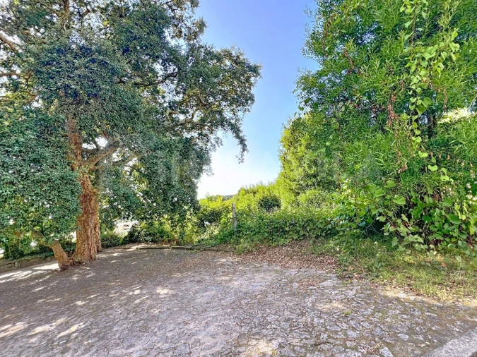 Terreno para Venda em Moledo e Cristelo Foto 10