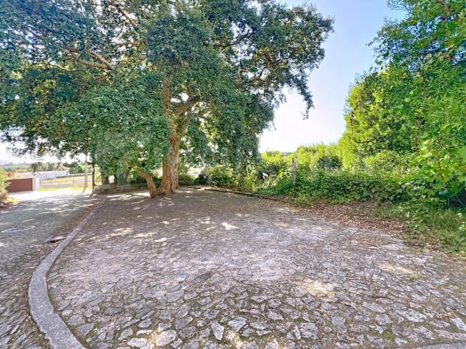 Terreno para Venda em Moledo e Cristelo Foto 11