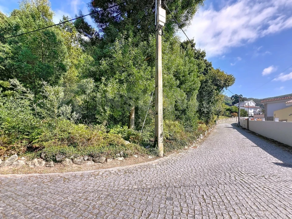 Terreno para Venda em Moledo e Cristelo Foto 7
