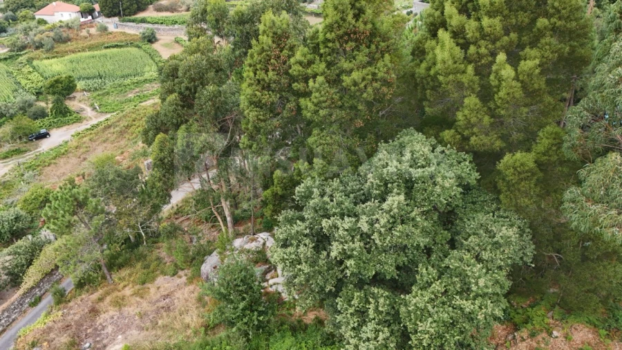 Terreno para Venda em Riba de Ancora Foto 7