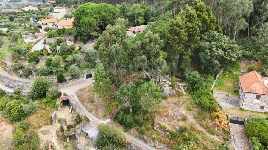 Terreno para Venda em Riba de Ancora