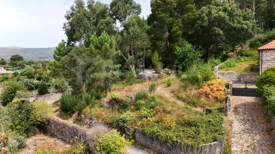 Terreno para Venda em Riba de Ancora