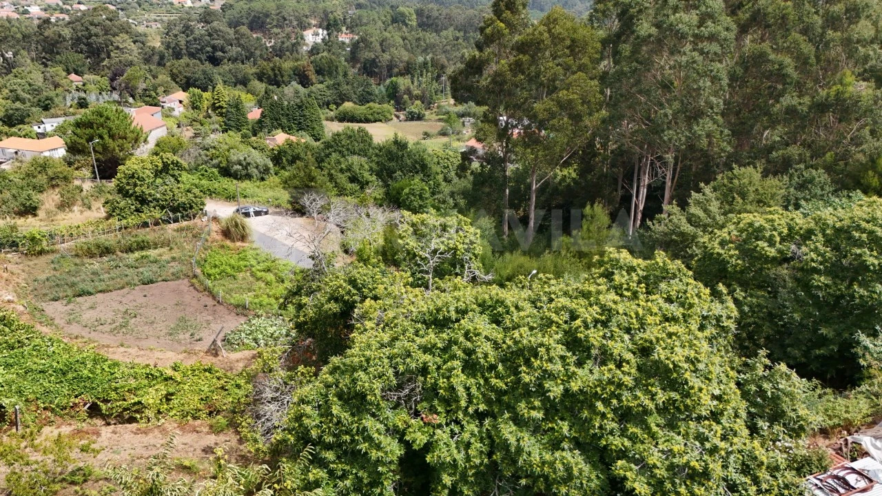 Terreno para Venda em Freixieiro de Soutelo Foto 4