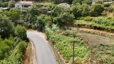 Terreno para Venda em Freixieiro de Soutelo