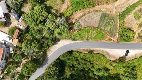 Terreno para Venda em Freixieiro de Soutelo