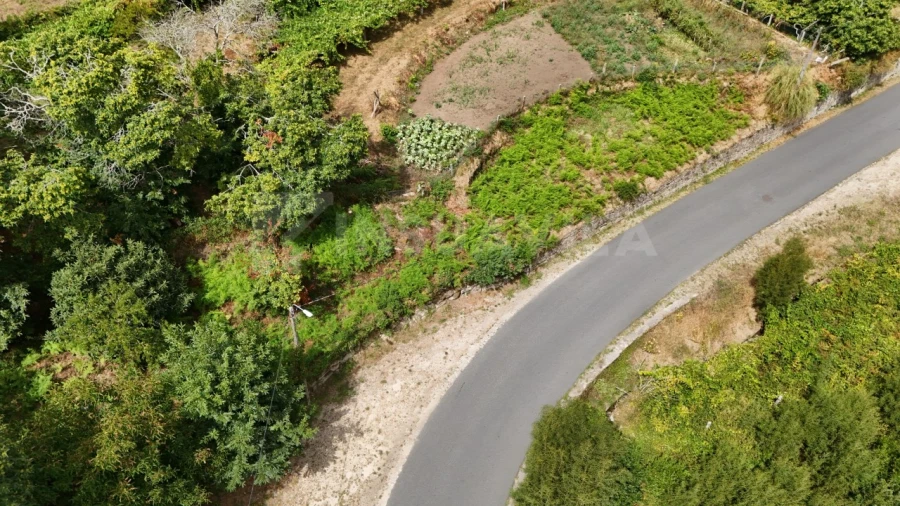 Terreno para Venda em Freixieiro de Soutelo Foto 3