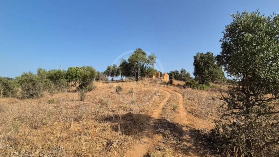 Terreno para Venda em Conceição e Estoi Foto 2