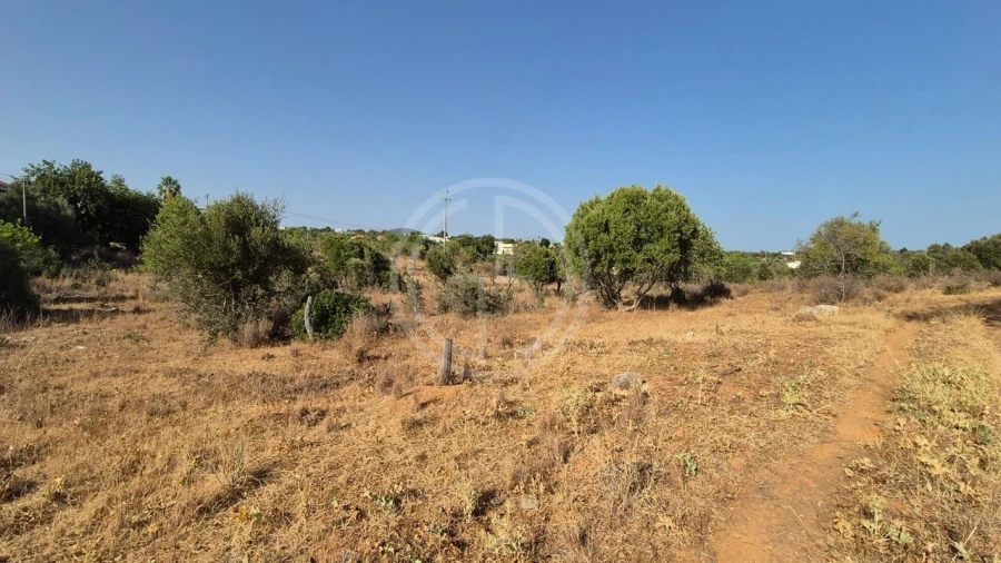 Terreno para Venda em Conceição e Estoi Foto 1