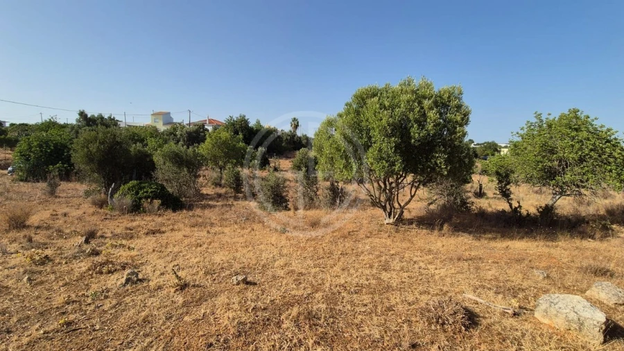 Terreno para Venda em Conceição e Estoi Foto 3