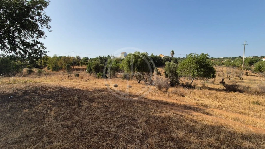 Terreno para Venda em Conceição e Estoi Foto 4
