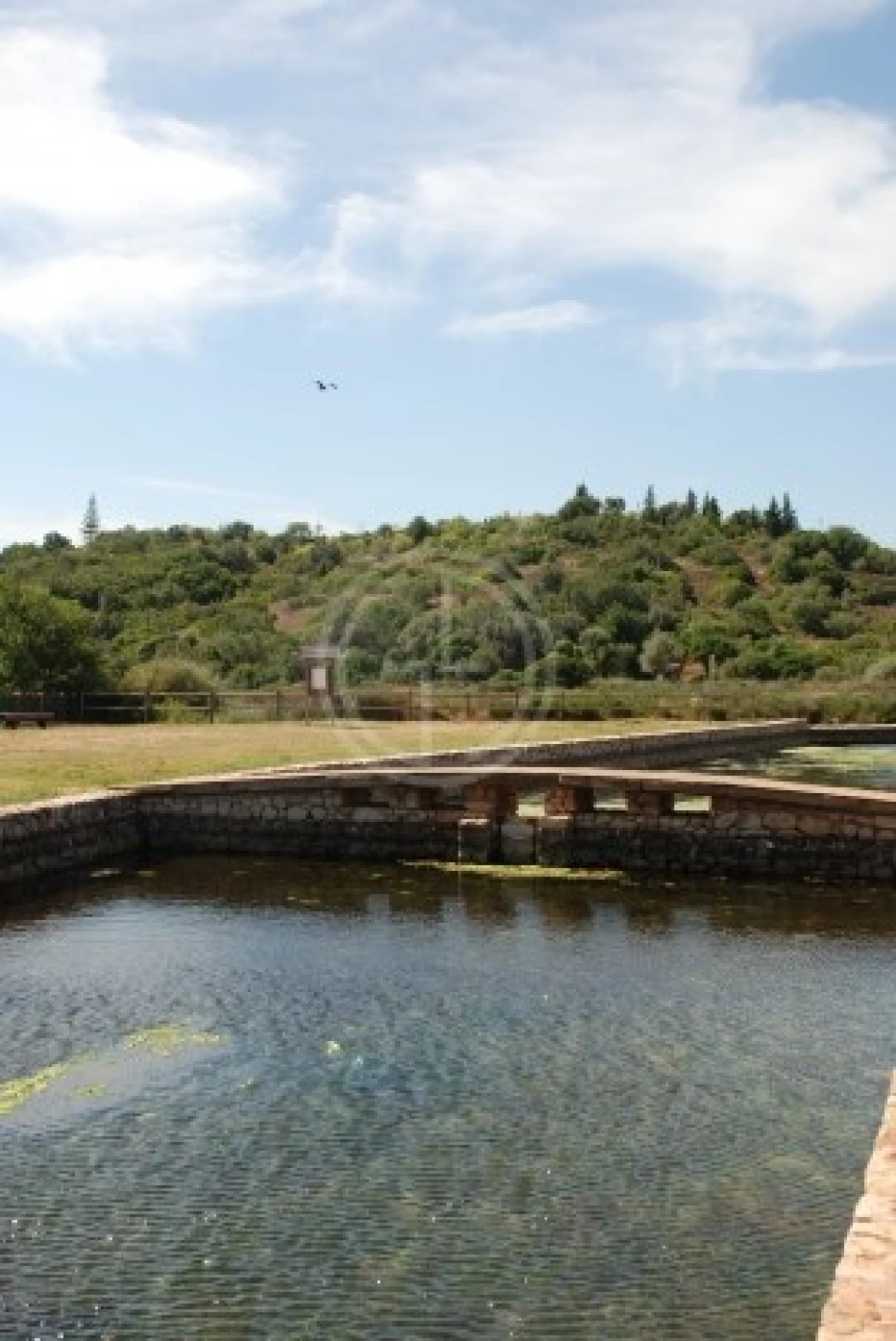 Terreno para Venda em Estômbar e Parchal Foto 12