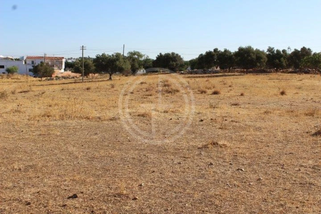 Terreno para Venda em Ferreiras Foto 2