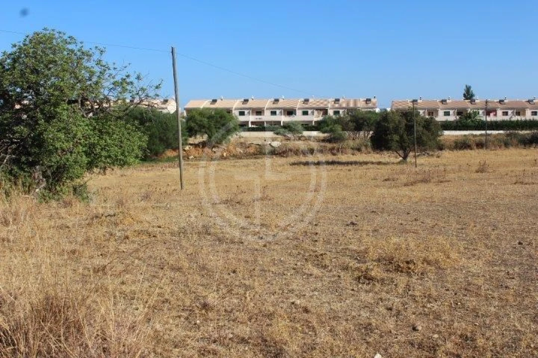 Terreno para Venda em Ferreiras Foto 1