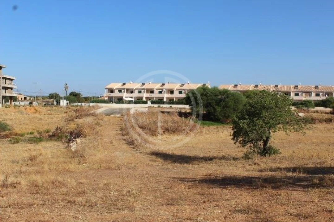 Terreno para Venda em Ferreiras Foto 7