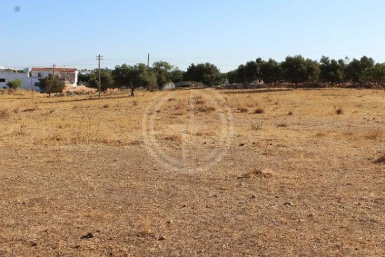 Terreno para Venda em Ferreiras Foto 2