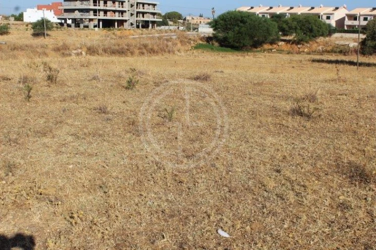 Terreno para Venda em Ferreiras Foto 6