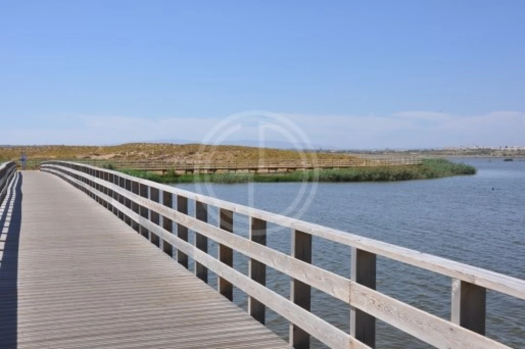 Terreno para Venda em Ferreiras Foto 6