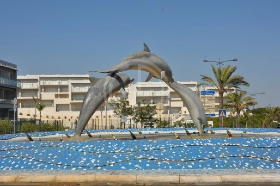 Terreno para Venda em Ferreiras Foto 11