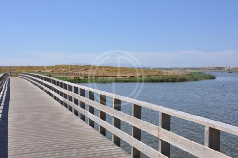 Terreno para Venda em Ferreiras Foto 6