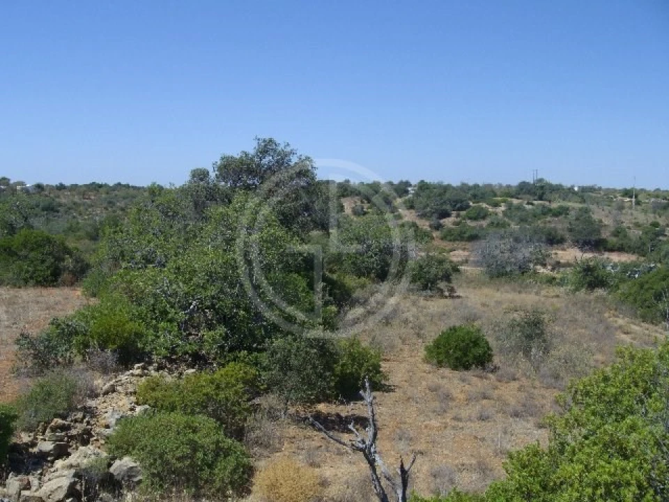 Terreno para Venda em Moncarapacho e Fuseta Foto 3