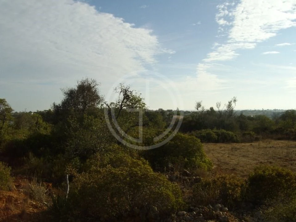 Terreno para Venda em Moncarapacho e Fuseta Foto 6