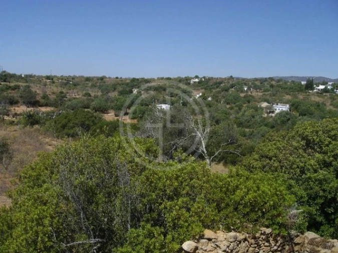 Terreno para Venda em Moncarapacho e Fuseta Foto 4