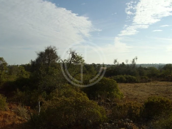 Terreno para Venda em Moncarapacho e Fuseta Foto 6