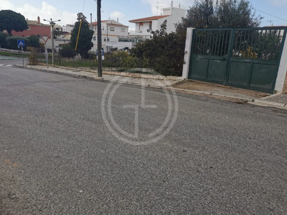 Terreno para Venda em Montenegro Foto 6