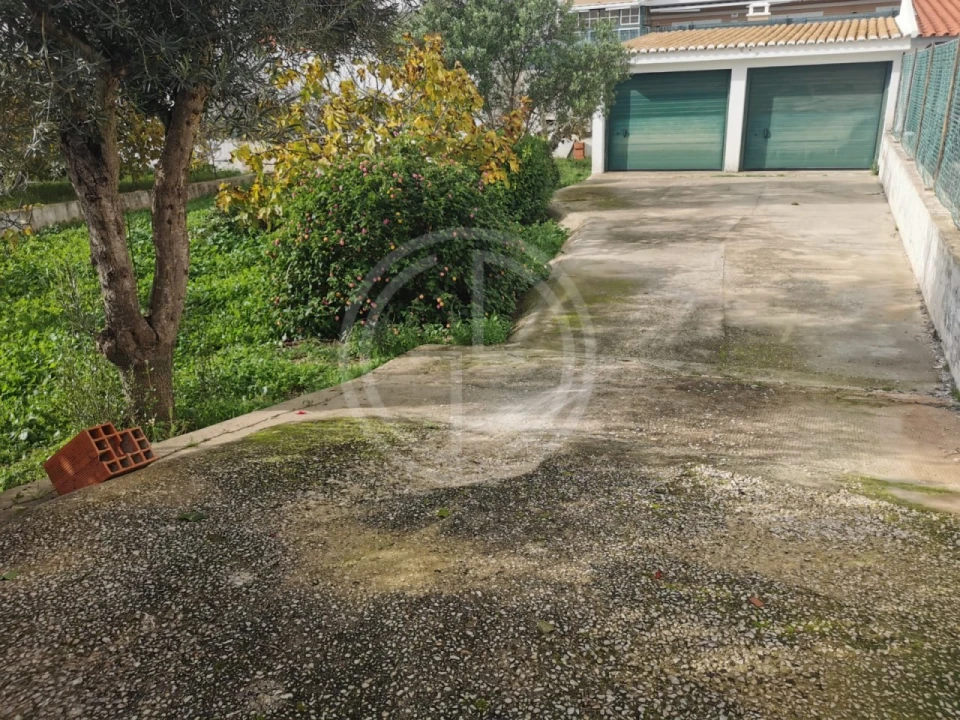 Terreno para Venda em Montenegro Foto 9