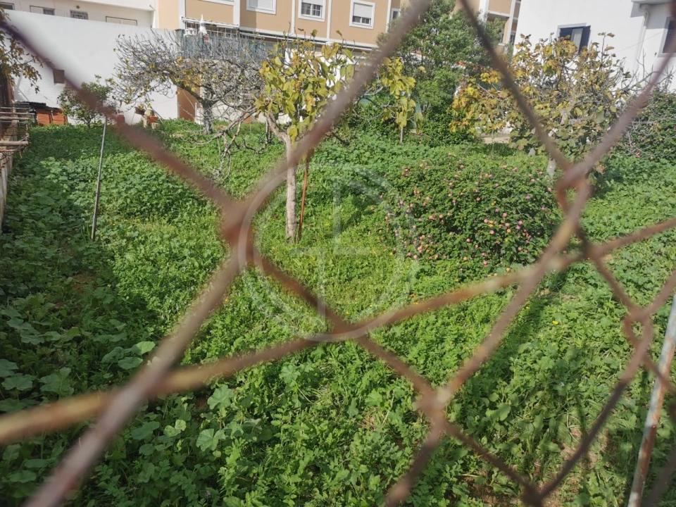 Terreno para Venda em Montenegro Foto 10